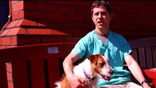 Bristol's Animal Rescue Centre Documentary