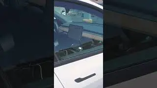 dog uber dog left in car hot day funny animal videos dog lovers