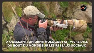 &Agrave; Ouessant, un ornithologue fait vivre l&rsquo;&icirc;le du bout du monde sur les r&eacute;seaux sociaux
