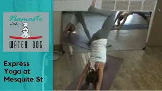 35 min All-Level Express Yoga Flow 1