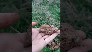 Comment reconna&icirc;tre de l'argile dans les sols - #p&eacute;dologie