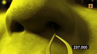 Shrek 3 |  Makeover Scene | Gamavision Csupo Effects