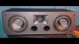 Saiyin Center Speaker unboxing I didn&rsquo;t pick these for Center Channel Speakers