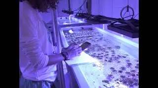 Exploring the Dominican Marine Innovation Hub