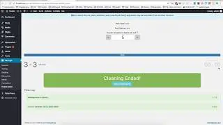 Delete Posts plugin - quick overview (1)