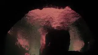 Foxy Methoxy - Visualizer