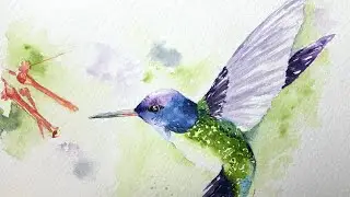 Watercolor hummingbird paint along tutorial demo.