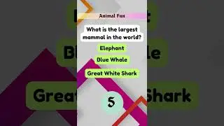 Test your knowledge with our fun and fast-paced Trivia Challenge series!