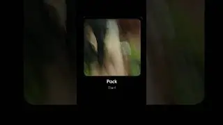 Pack || Official Preview