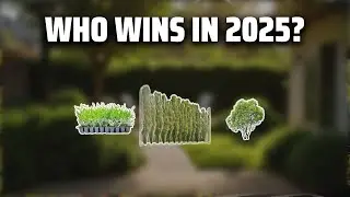 The Top 5 Best Privacy Bushes in 2025 - Must Watch Before Buying!