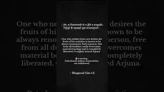 This verse teaches that true renunciation is internal. #bhagavadgita #motivation #spirituality