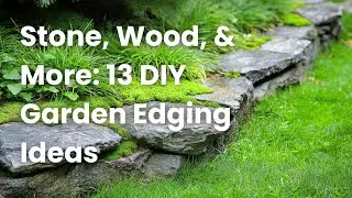 Creative Garden Borders That Make Your Yard Look Luxurious & Expensive