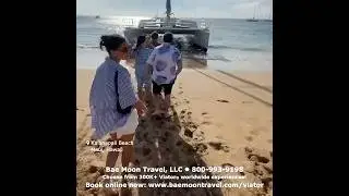 Viator - Catamaran Cruise - Maui, Hawaii | Travel