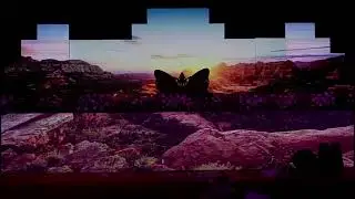 Led Wall Show & Live  Show Event in pune