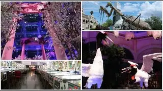 Summer 2019 Vlog Part 2 - Cherry Blossoms, Container Park, & Pinballs