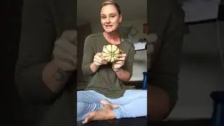 Fall Focal Point Meditation