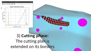 Interactive Finite Element model of needle insertion and laceration &ndash; (Eurographics 2021)