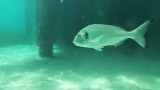 Below the surface