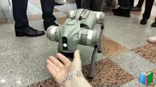 Роботы 🤖👾 на XXXII международной книжной выставке в Минске