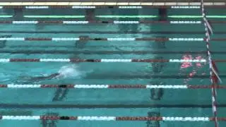 TXLA 50 Butterfly