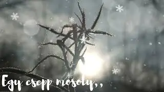 Egy csepp mosoly ,,                     (Saj&aacute;t dalsz&ouml;veg+ AI zene ) #aizene  #music 