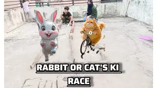 Rabbit Or Cat's Ki Race Lagwa Di 😍 Kon Jeete Ga ?
