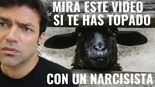Solo La Oveja Negra Puede Reconocer Las Din&aacute;micas T&oacute;xicas De Su Familia Y Sanarse