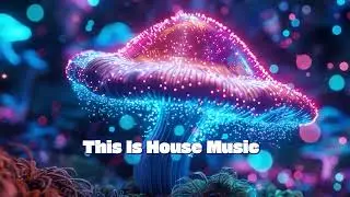 DJ KOSMO - This Is House Music