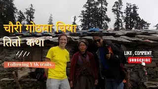 चौरी गोठमा तातो चिया तर तितो कथा !! Short stops for Yak Tea ☕ || RUBBY VALLEY || #youtube