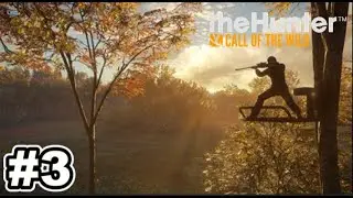 HUNTER CALL OF THE WILD!  PART 3! TREESTAND &  FEEDER! & TRIPOD!!