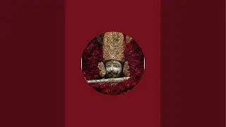 Royal Rajput  is live