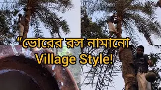 ভোরে গাছ থেকে খেজুর রস সংগ্রহ| Date Palm Sap Collection #DatePalmSap#KhajurRosh #VillageLife#বাঘারবউ