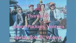 The Gray Whale Trip