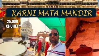 Karni Mata Mandir Deshnok | Rat Temple Bikaner Full Tour | India’s Most Mysterious Temple #vlog