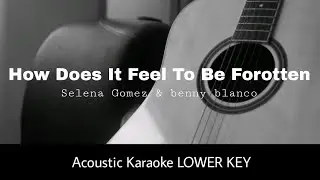 Selena Gomez - benny blanco - How Does It Feel To Be Forgotten LOWER KEY (Acoustic Karaoke)