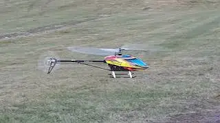 Align t-rex 550E super combo, my 5.th flight.
