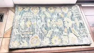 Mark & Day 2x3' Hobart Wool Rug Review