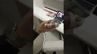 💸 ТГК С ОНЛАЙН СИГНАЛАМИ В КОММЕНТАРИЯХ. БЕСПЛАТНО‼️ #трейд#tradingvideo#trading#2026#сигналынарынке