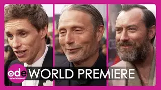 Stars Dazzle at Fantastic Beasts: The Secrets Of Dumbledore Premiere 🪄
