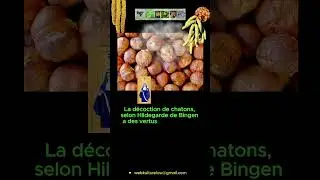 Eur&ecirc;ka Plantes 59 NOISETIER Cuisine et R&eacute;colte 4 et5/6