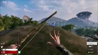 The Culling / Solo Match