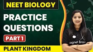 Practice Questions (Part 1) | Plant Kingdom | NEET Biology