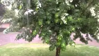 Hail & flooding in Bethany, Ok