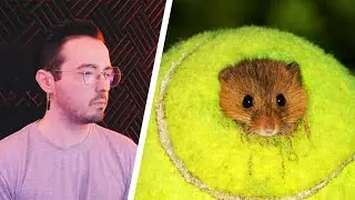 COSAS QUE NO SABIAS HACE 5 MINUTOS #21