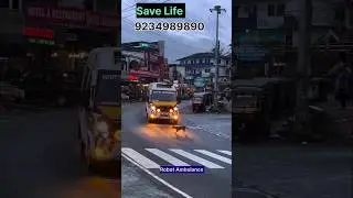 The ambulance saved the dog's life || #ambulance #yt #health #dog #life #savings #accidente #driving