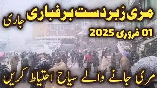 Murree snowfall today | murree nathiagali snowfall | #murree snow season 2025 | murree live today