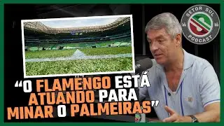 TIM VICKERY DEU SUA OPINI&Atilde;O SOBRE O GRAMADO SINT&Eacute;TICO E FALOU SOBRE MEDIDAS ADOTADAS PELO FLAMENGO