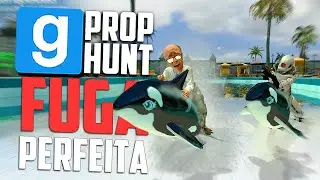 Fuga Perfeita no Gmod Prop Hunt (Esconde Esconde) Momentos Engraçados