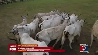 LOTE P30B (SANTA EDWIRGEM)  - 18&ordm; LEIL&Atilde;O VIRTUAL PANTANAL CORTE