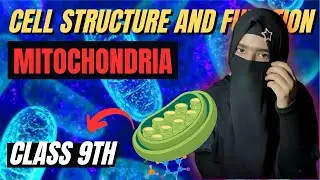 Mitochondria 🔥 | Class 9 Biology | Powerhouse of the Cell | Easy Explanation | Miss Duaa Zulfiqar